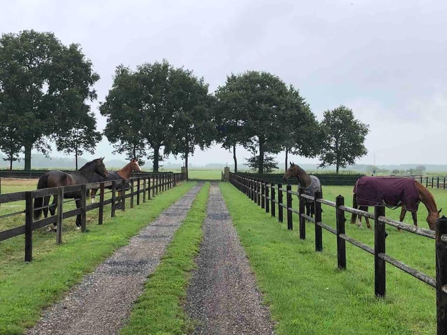 Linderhuisje, Rust, Ruimte, Privacy En Natuur Экстерьер фото